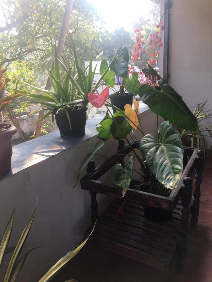 Marari Sibiya Beach Villa Mararikulam Extérieur photo
